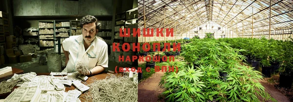 стафф Киреевск