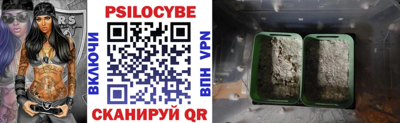 Купить  Верхняя Тура  Галлюциногенные грибы мицелий 